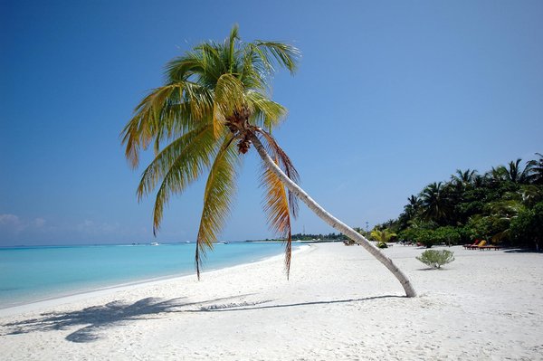 Explorez les Trésors d'Hébergement Abordables : Hôtels Charmants à Petit Prix !