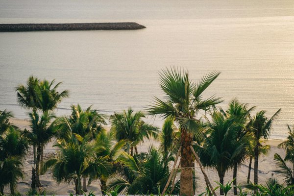 Quelles stratégies les agences de voyage utilisent-elles pour attirer de nouveaux clients ?